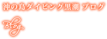 沖の島ダイビング黒潮ブログ